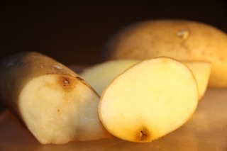 rotten potatotes